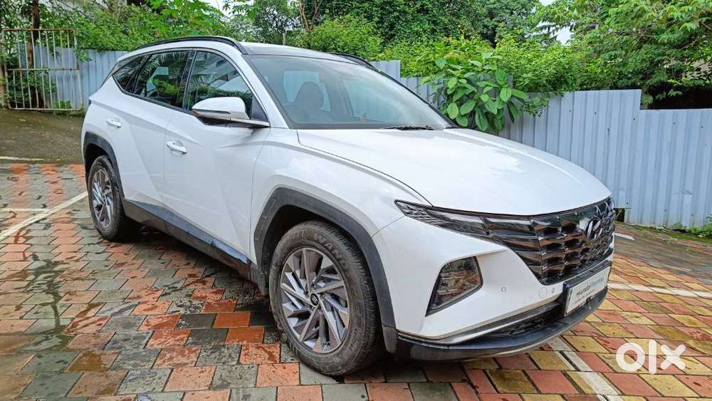 Hyundai Tucson 2.0 Platinum Petrol At, 2024, Petrol