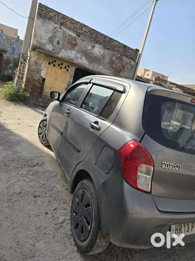 Maruti Suzuki Celerio 2019 Cng Good Condition