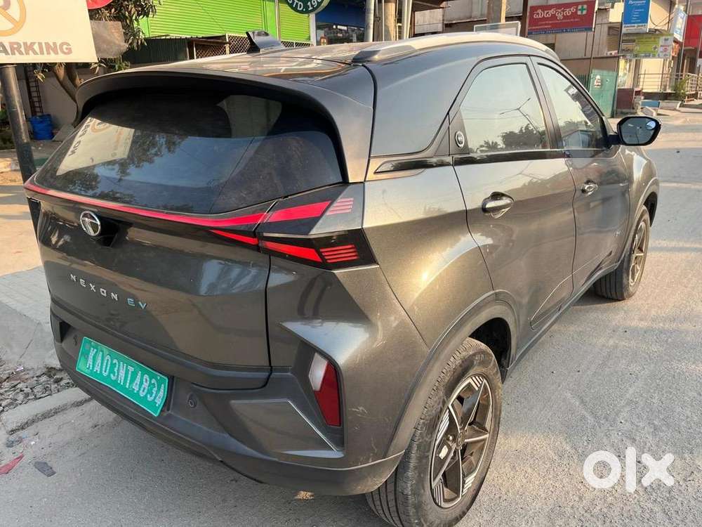 Tata Electric 2024 Year