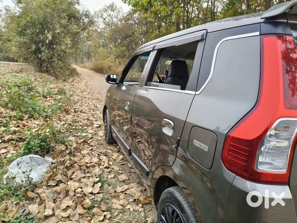 Maruti Suzuki Wagon R 2025 Cng & Hybrids 026420 Km Driven