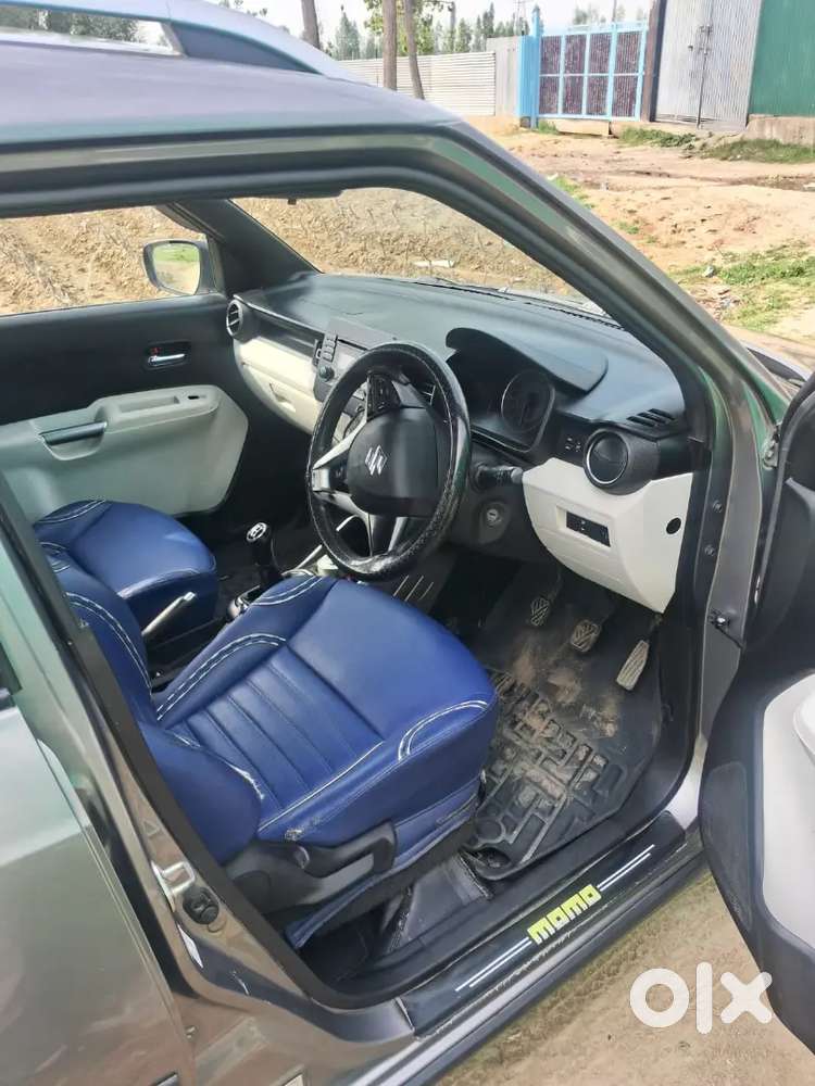 Ignus No Expenditure