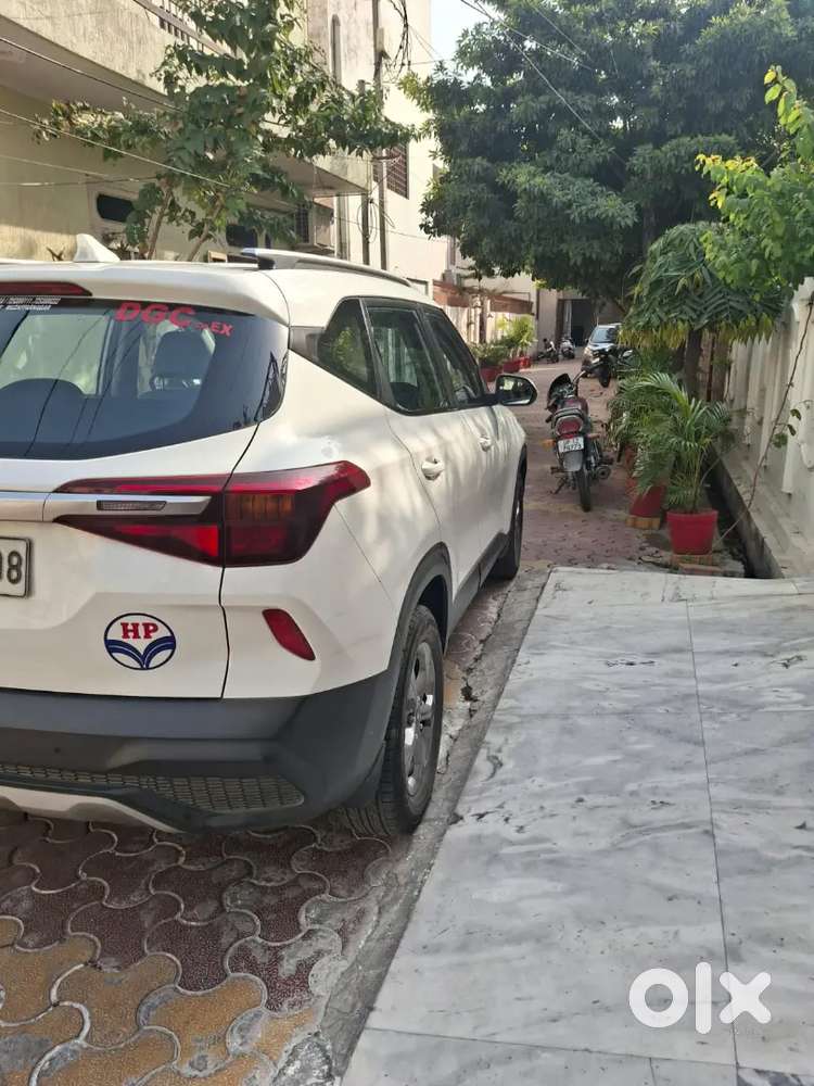 Allowil Back Diggi Tre