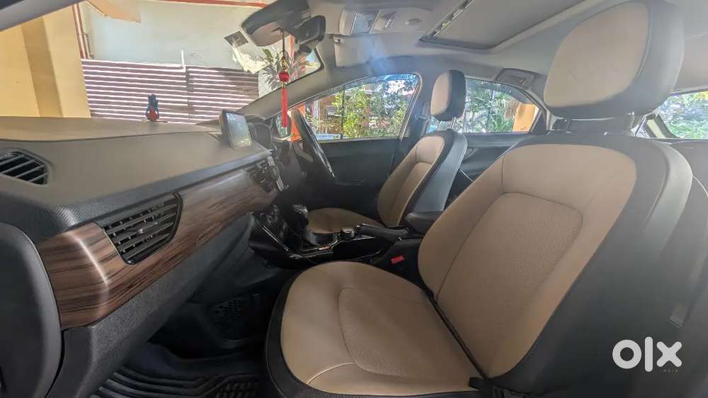 Nexon Xz+, Kaziranga Edition (top Model)