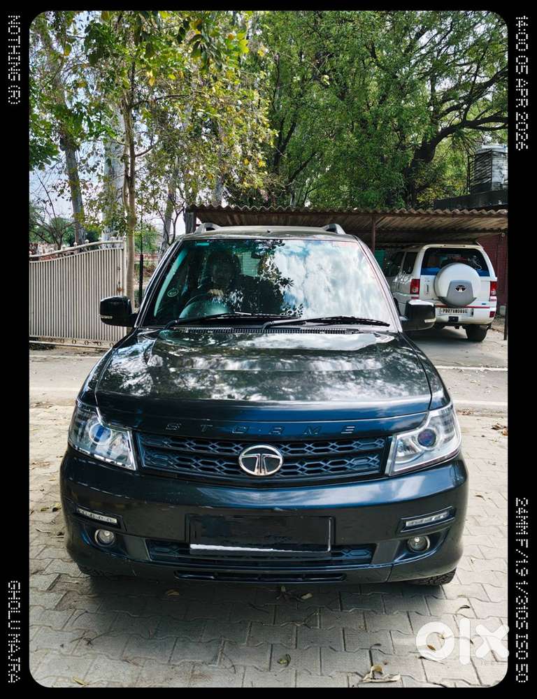 Black Safari Storme Top Model