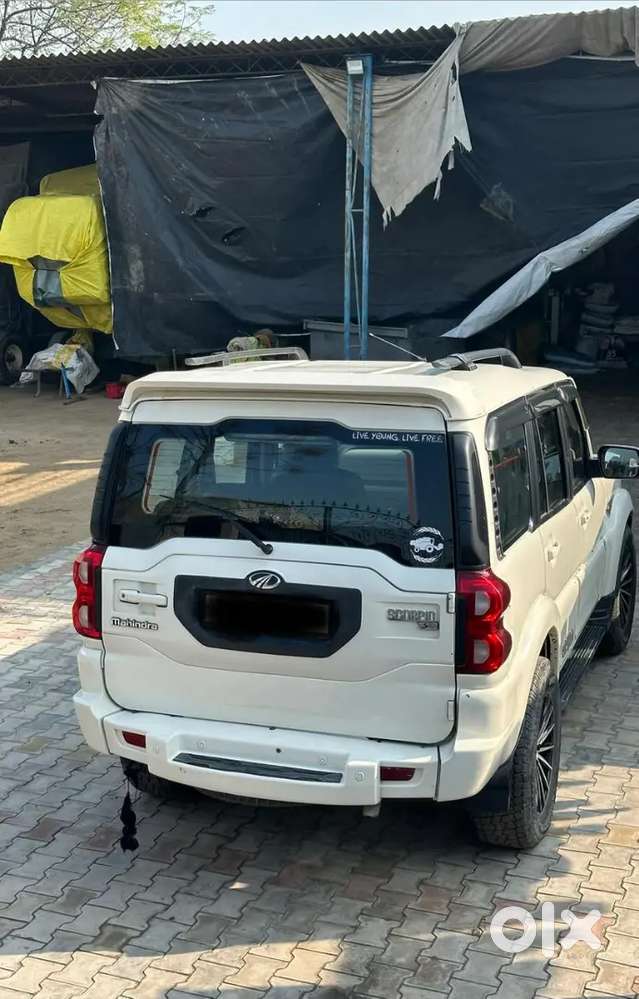 S10 Scorpio