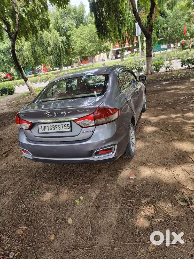 Maruti Suzuki Ciaz 2016 Diesel