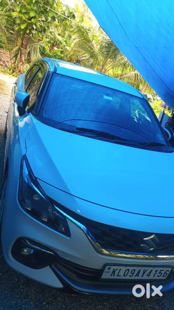 Maruti Suzuki Petrol 2024