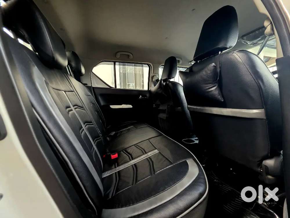 Top Model Ignis Alpha In Perfect Condition.