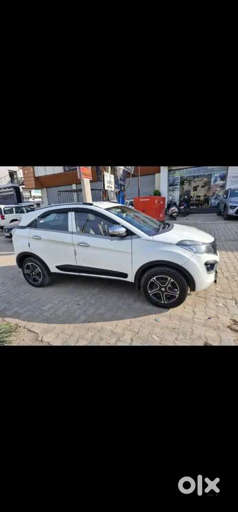Nexon Xm Cng Petrol