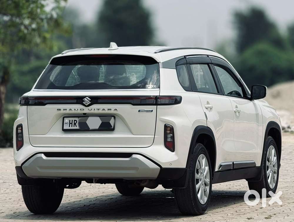 Maruti Suzuki Grand Vitara 1.5 Delta Smart Hybrid, 2025, Petrol