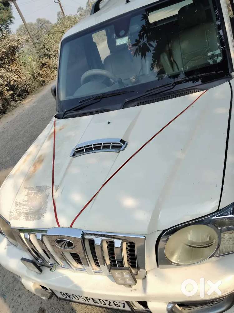Scripo Vlx