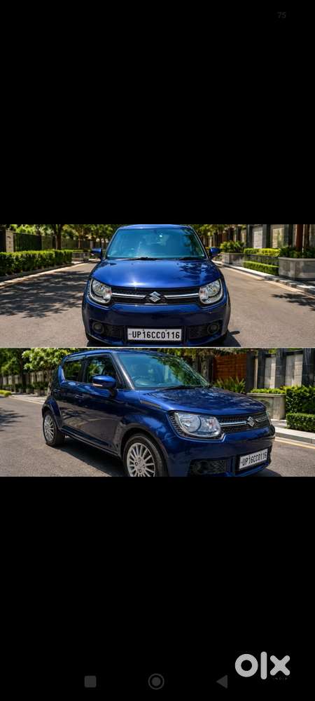 Maruti Suzuki Ignis 1.2 Delta Mt, 2019, Petrol
