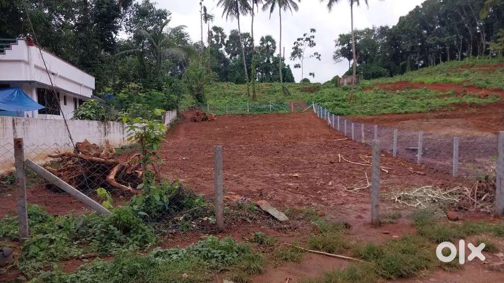 Land plot for sale in ottapalam Lands & Plots 1741734472