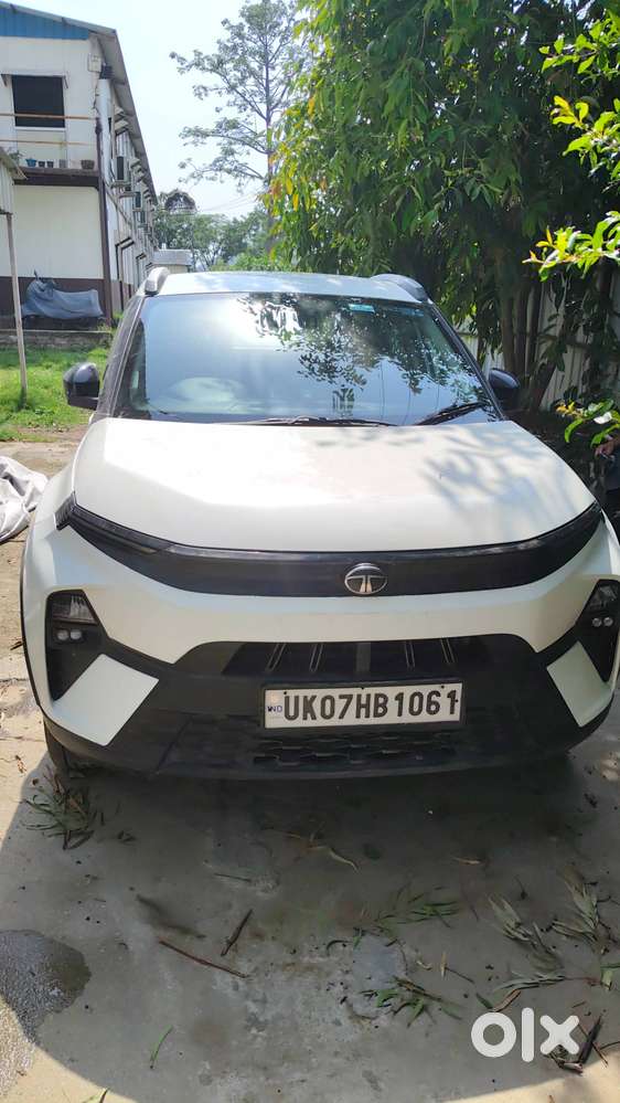 Nexon Pure Plus 2025