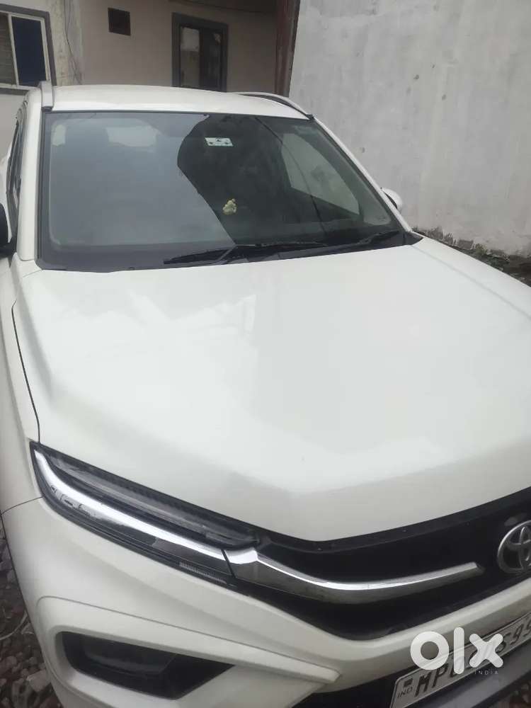 Toyota Urban Cruiser 2024