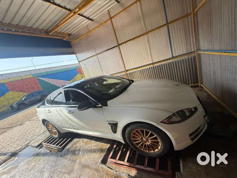 Jaguar 2014