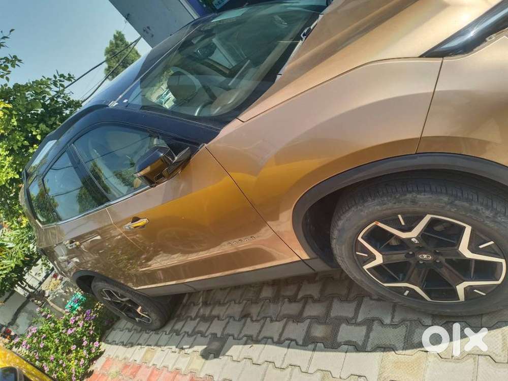 Tata Safari Accomplished Plus Dual Tone, 2023, Diesel