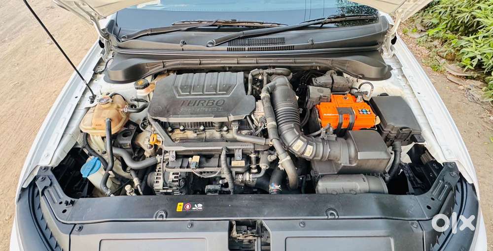 Hyundai Verna Sx Option, 2023, Petrol