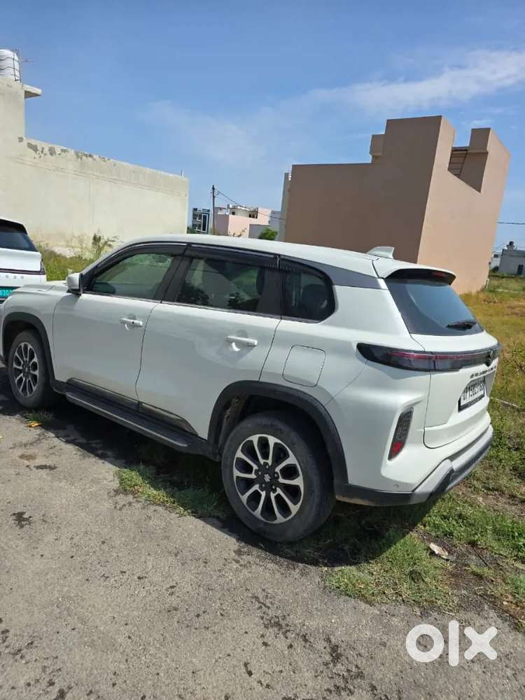 Maruti Suzuki Grand Vitara 2023 Petrol Well Maintained