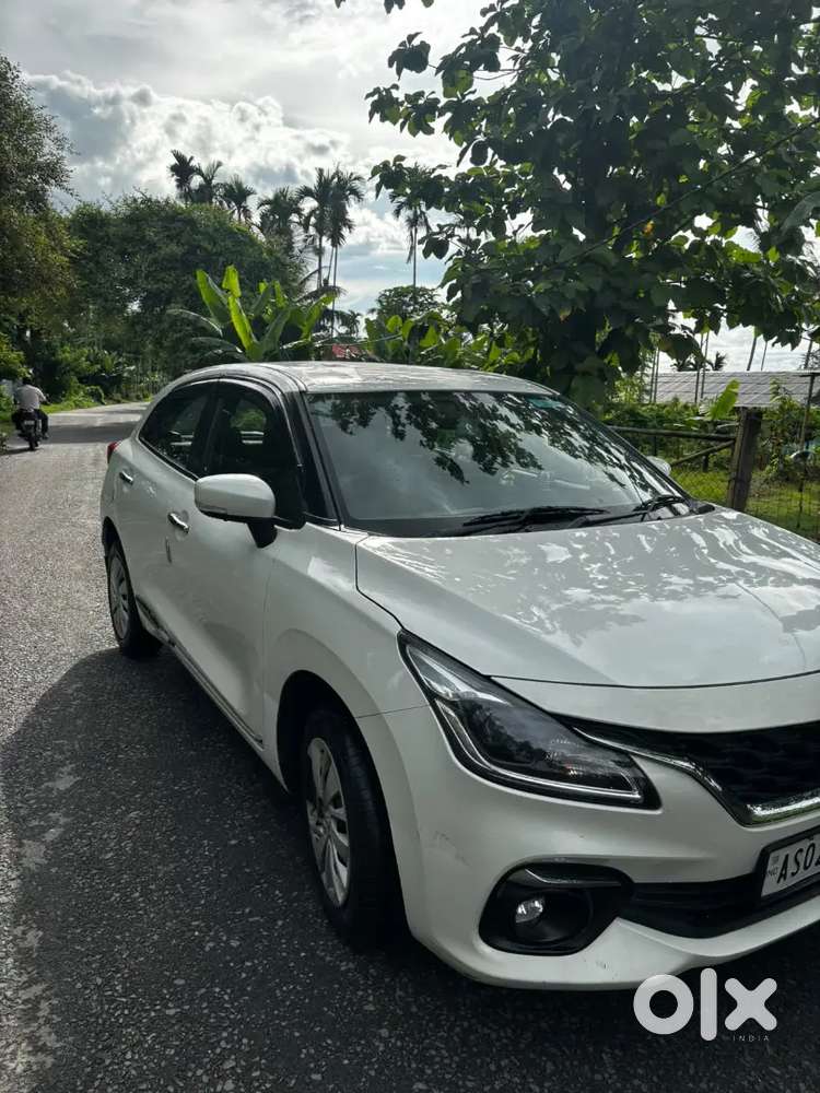 Baleno Delta P