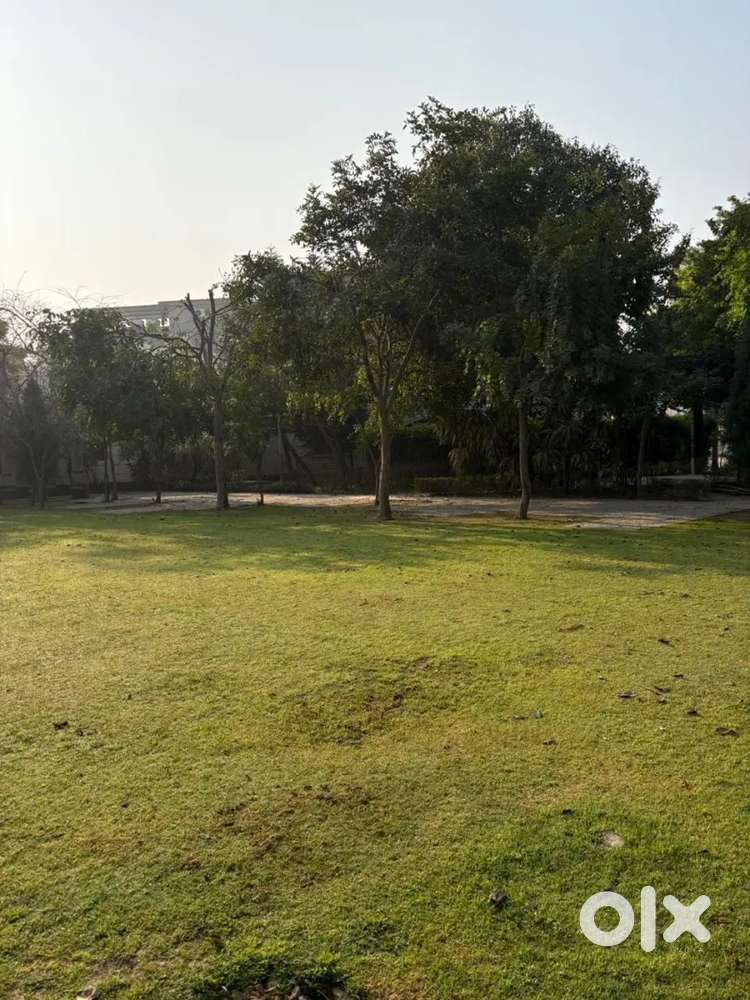 500 Gaj Plot For Sale in Manohar Singh & Company New Chandigarh.