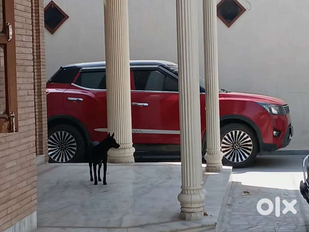 Mahindra Xuv300 2021 Diesel 95000 Km Driven