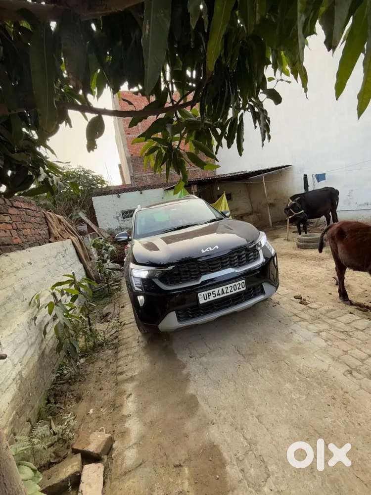 Kia Sonet 2024 Petrol Well Maintained
