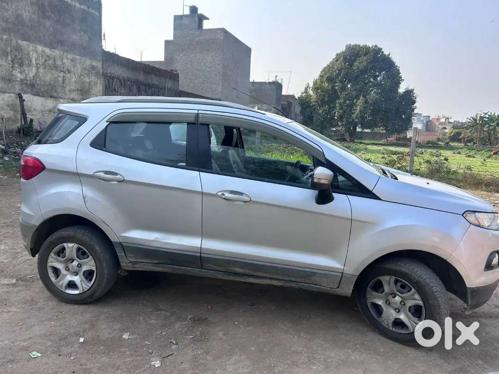 Ecosports In Well Defined Condition