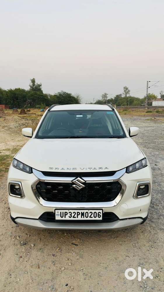 Maruti Suzuki Petrol 2024