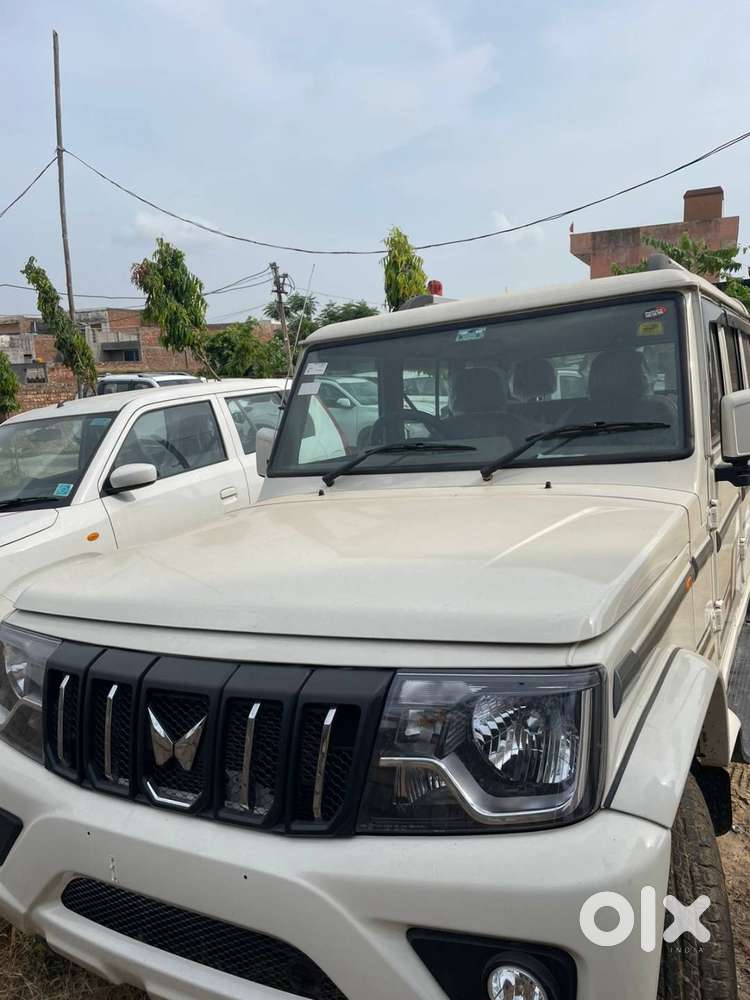 Maruti, Tata, Hundai, Mahindra, Toyota All