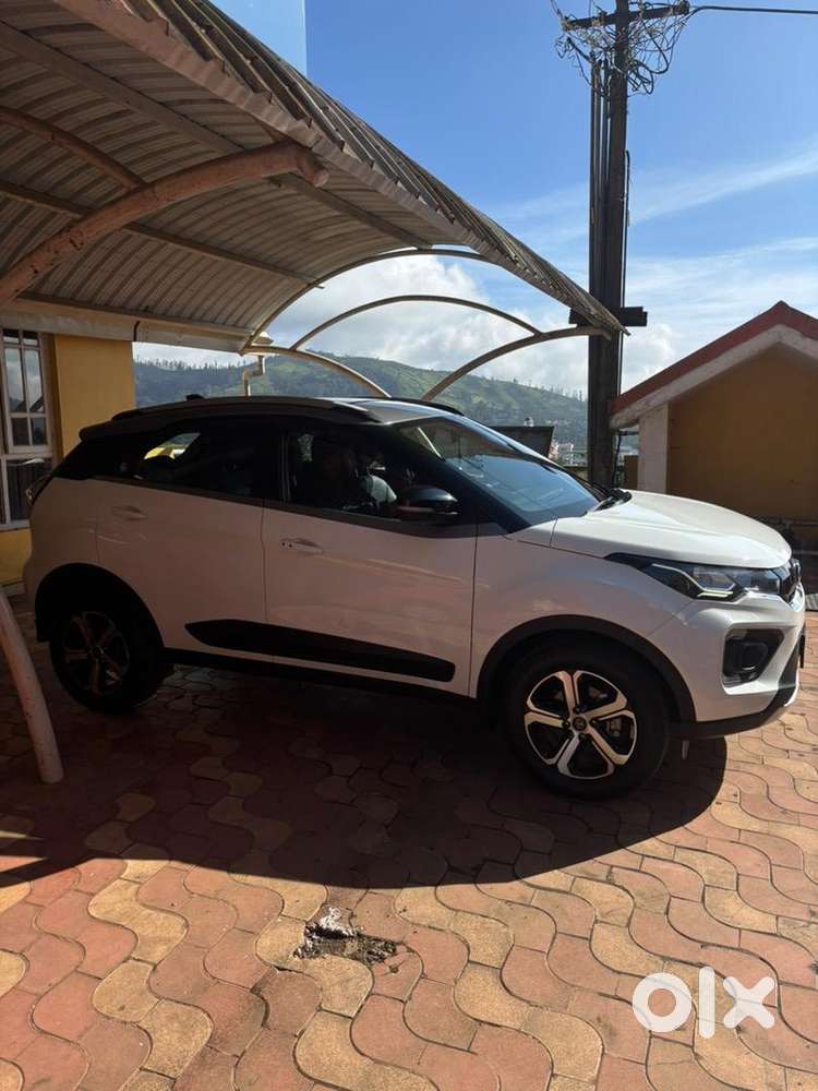 Tata Car 2025 For Sale