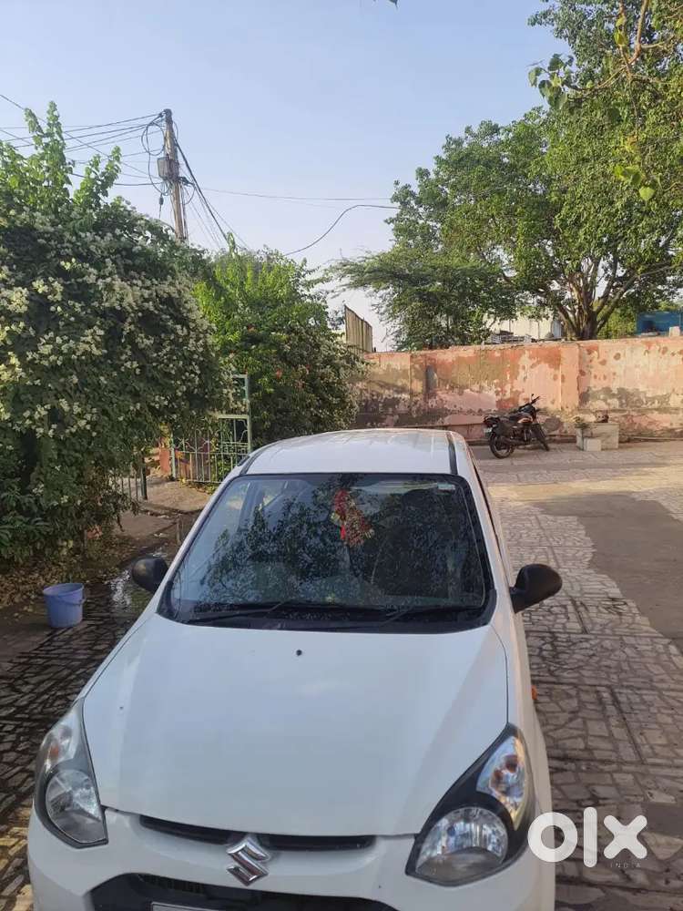 मारुति सुजुकी