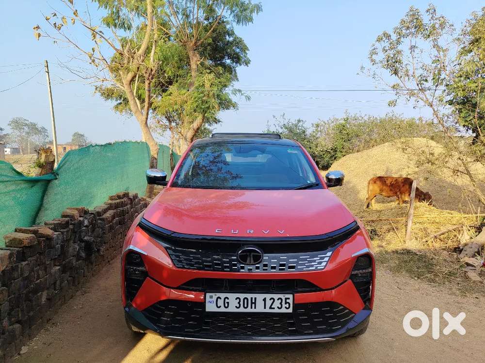Tata Curvv 2025 Diesel 10000 Km Driven