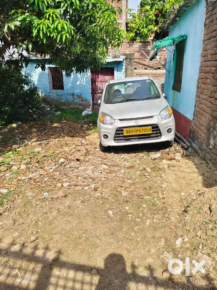 Maruti Suzuki Alto 800 2017 Car