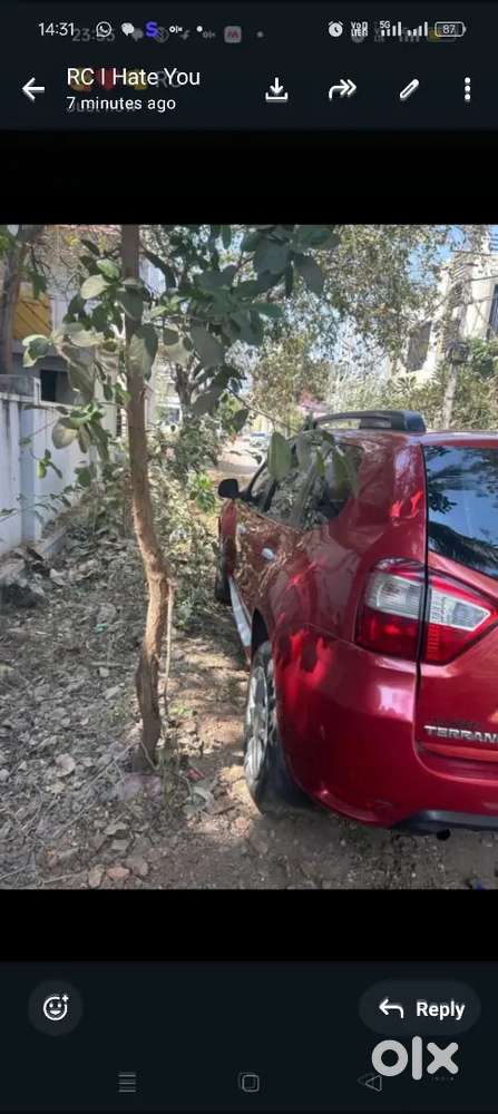 Nissan Terrano 2014