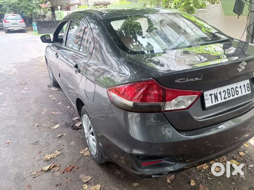 Maruti Ciaz 1.5 Sigma 2024