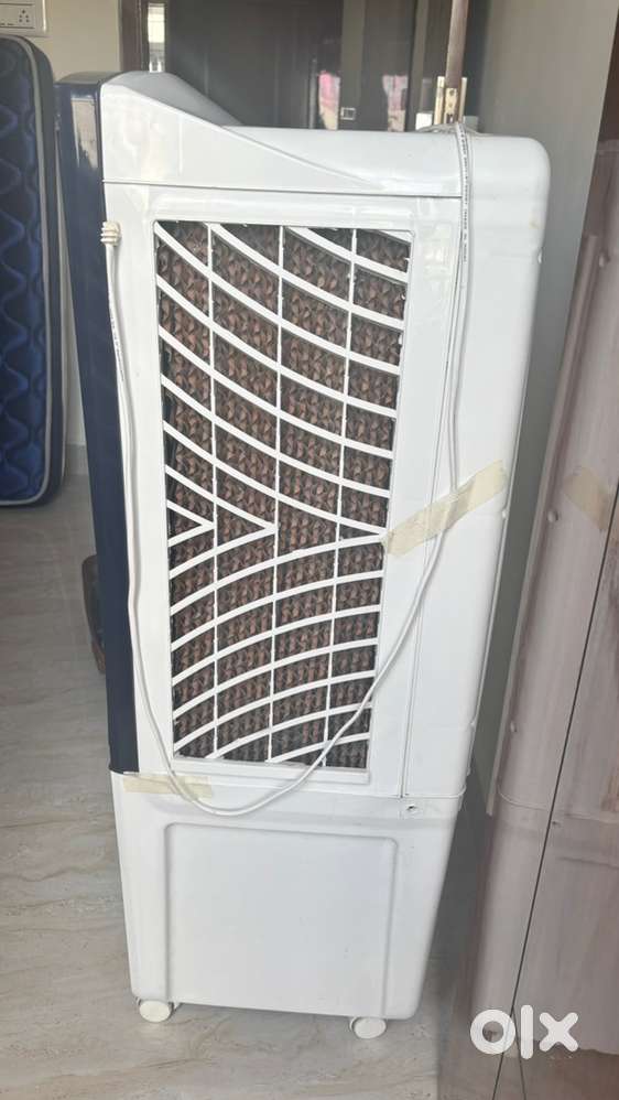 3 years old Cooler