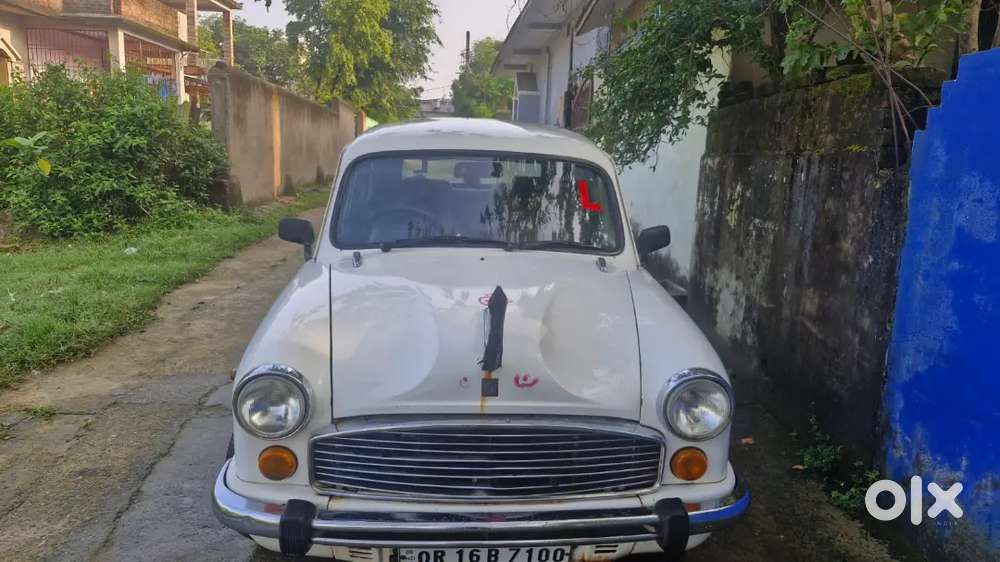 Ambassador 2007 Classic Dsz- Vintage