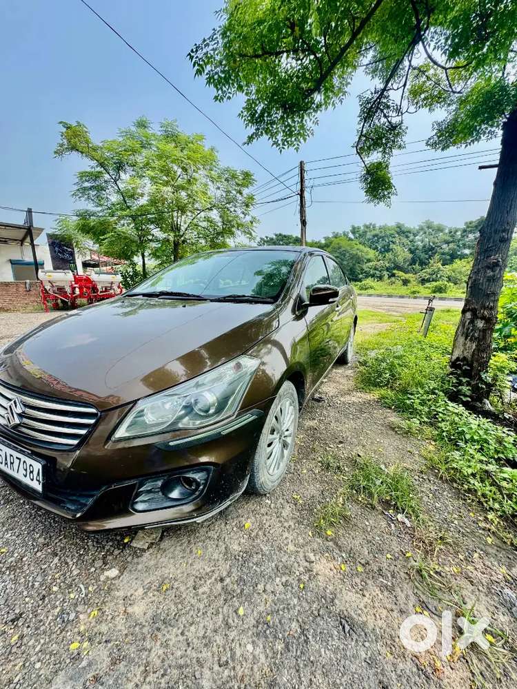 Maruti Suzuki Ciaz 2017 Model Diesel