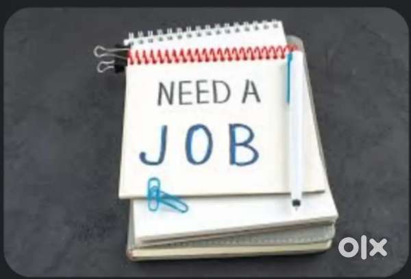 Freshers can apply now