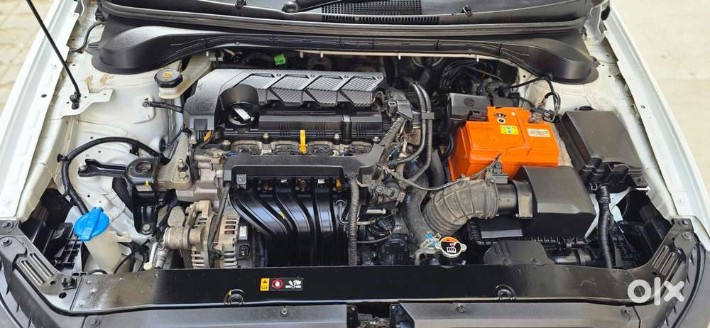 Hyundai Verna Vtvt 1.6 Sx, 2024, Petrol