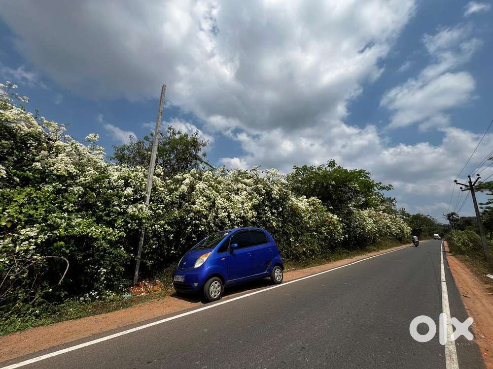 Nano 2013 Top Variant