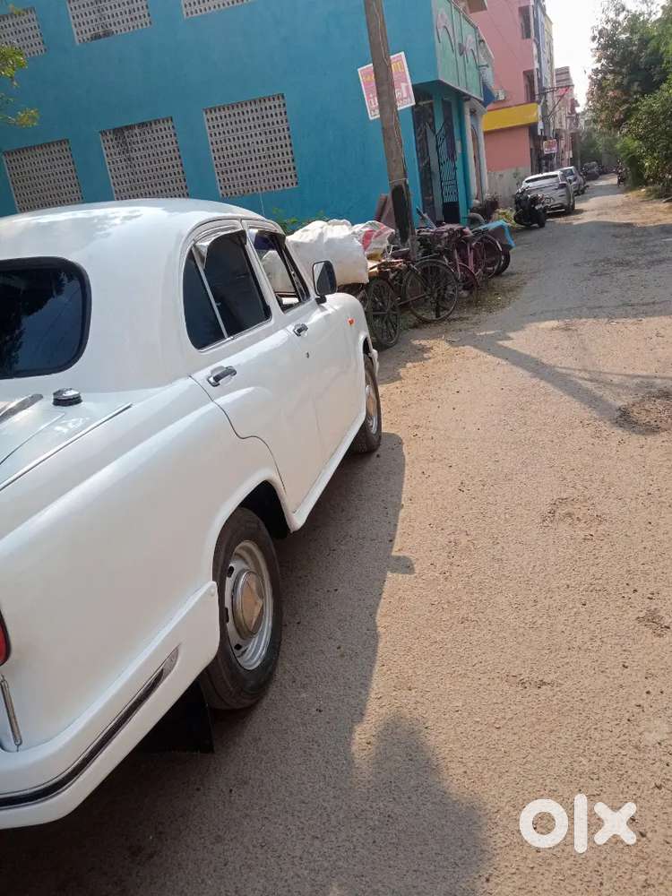 Ambassador Ambassador 2008