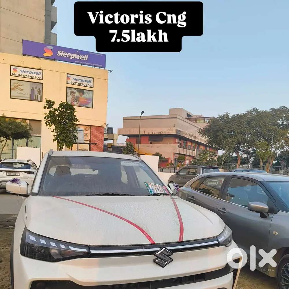 All Cars Are Available For Lease In 5 Years In Amount Of 50%