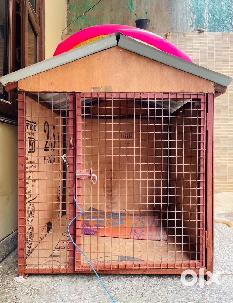 Strong Dog House Kennel – Custom Made, Spacious Weatherproof