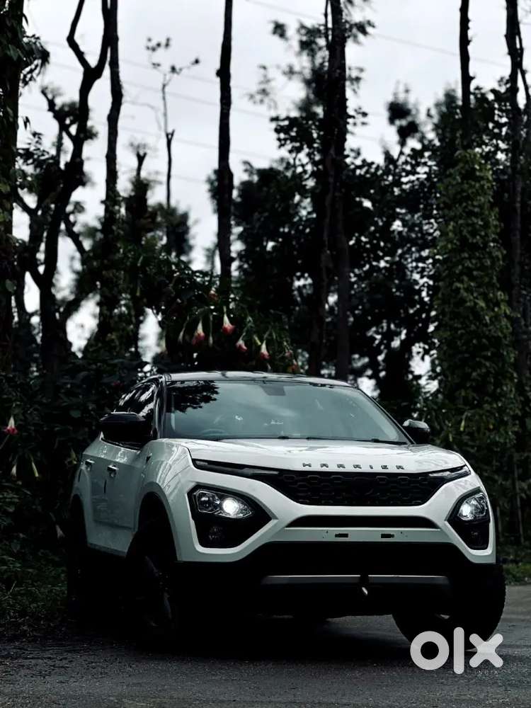 Tata Harrier 2019 Diesel Well Maintained