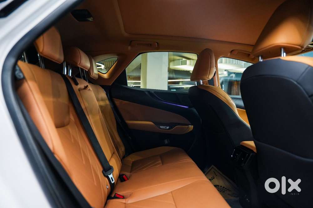 Lexus Nx 350h Exquisite, 2024, Petrol