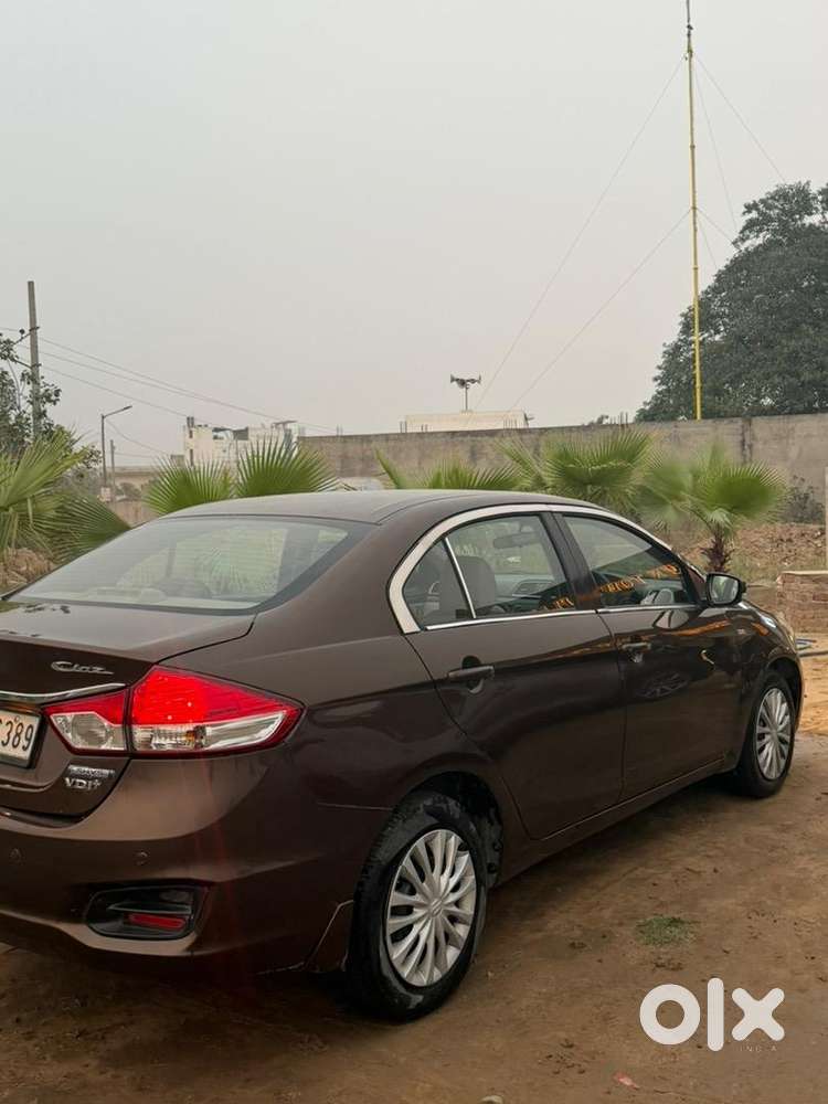 Maruti Suzuki Diesel 2016