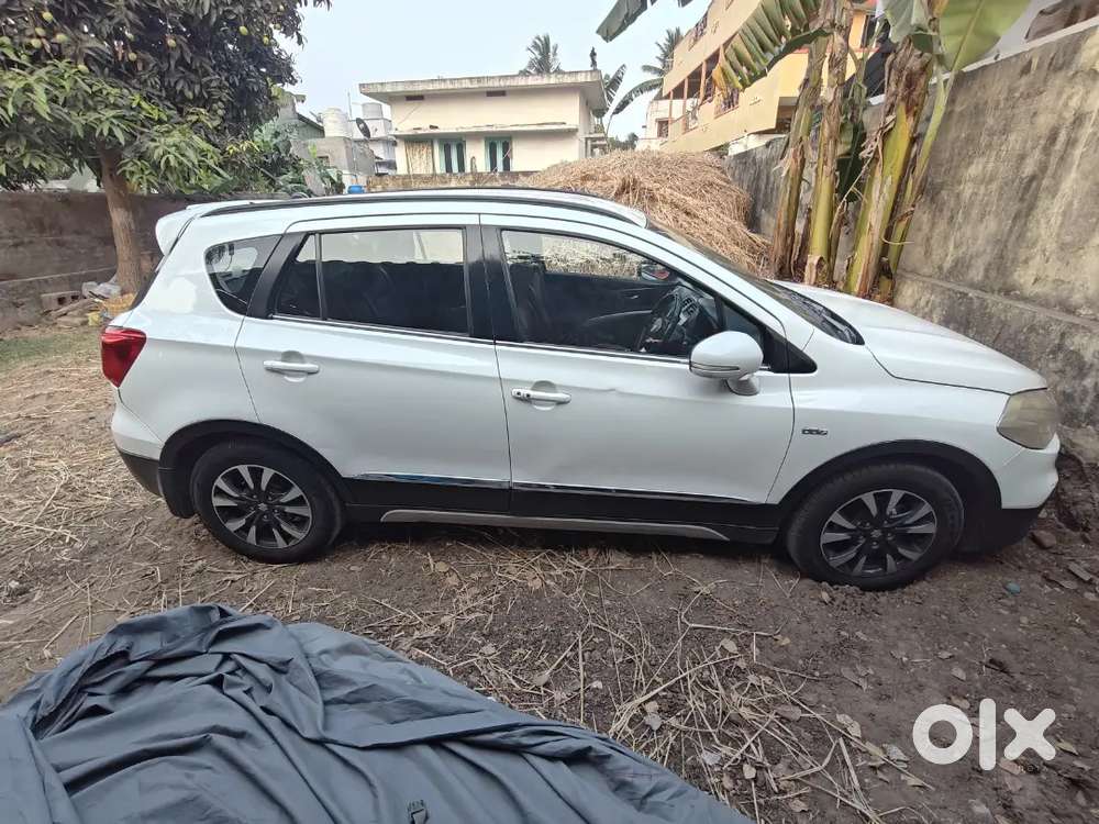 Maruti Suzuki S-cross Top And Model