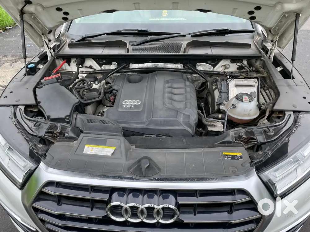 2019 Audi Q5 Special Edition
